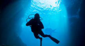 Dr. Larry Diving 